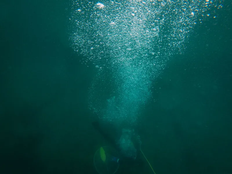 Breathing Room: Why Dissolved Oxygen Has Become the Hidden Ruler of American Fisheries