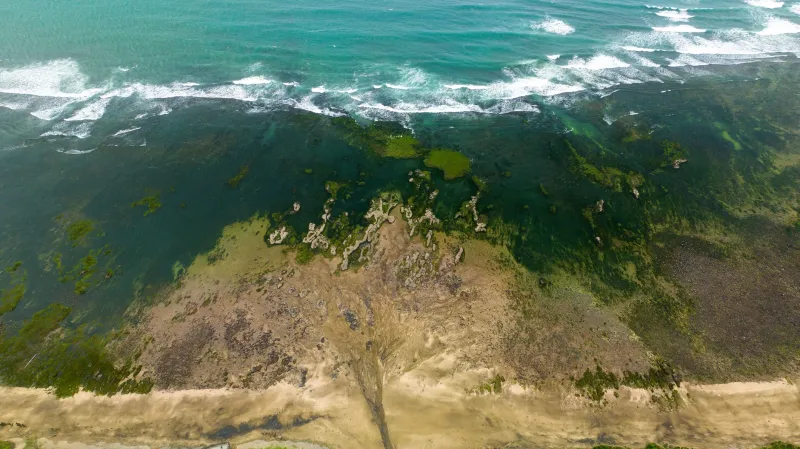 Cleaning Up Isn't Enough: The Hidden Nitrogen Reservoirs Still Feeding America's Coastal Dead Zones