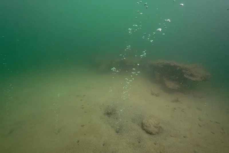 Microbial Gatekeepers: How Tiny Ocean Organisms May Hold the Key to Climate Tipping Points