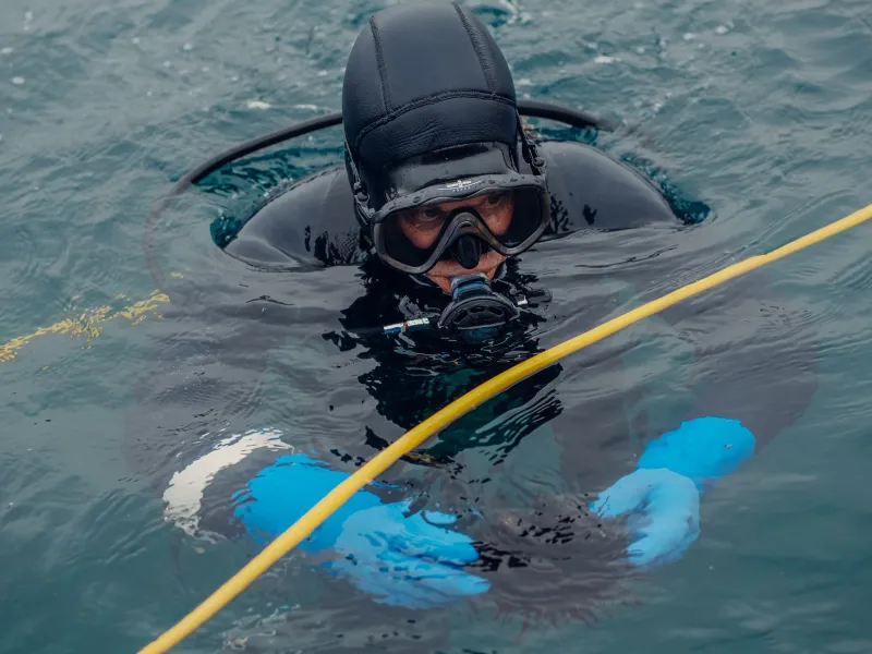 The Ocean Has a Voice. US Fisheries Management Isn't Listening.