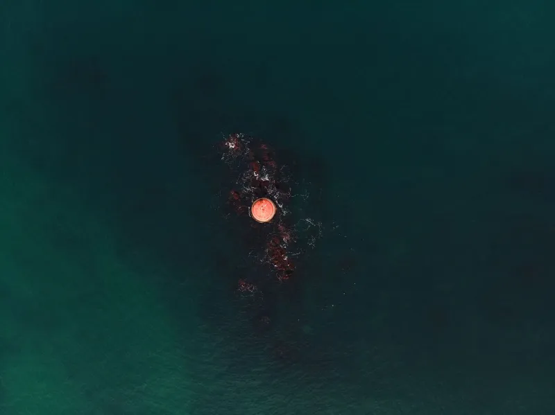 Adrift and Imperiled: The Sargasso Sea's Role in American Fisheries and the Science Wars Surrounding It